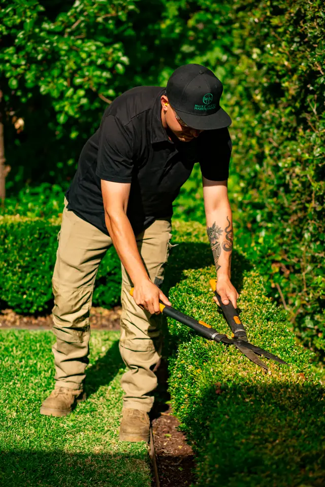 A gardener trimming a residential hedge